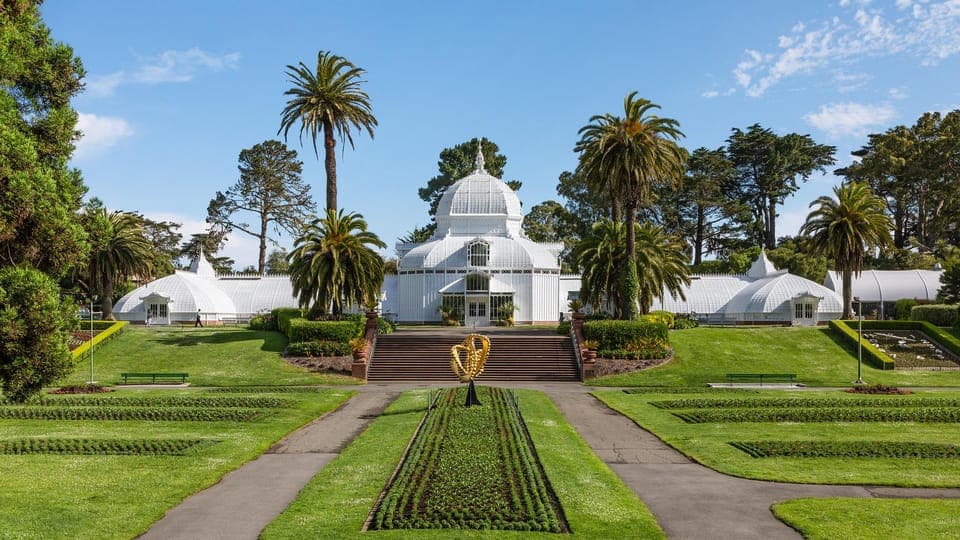 San Fancisco: Golden Gate Park Surrey Rental Gallery Image 3