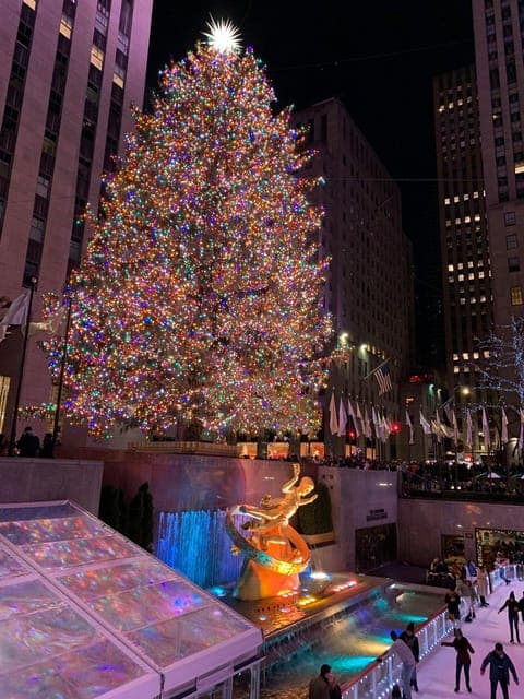 Holiday Lights Tour with Rockefeller Tree Gallery Image 4