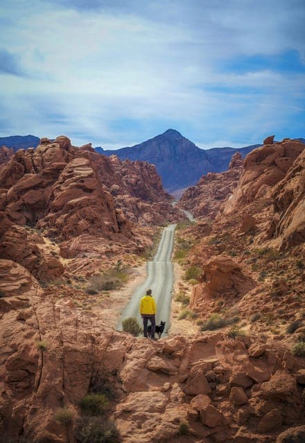Valley of Fire Tour & Hike Gallery Image 3