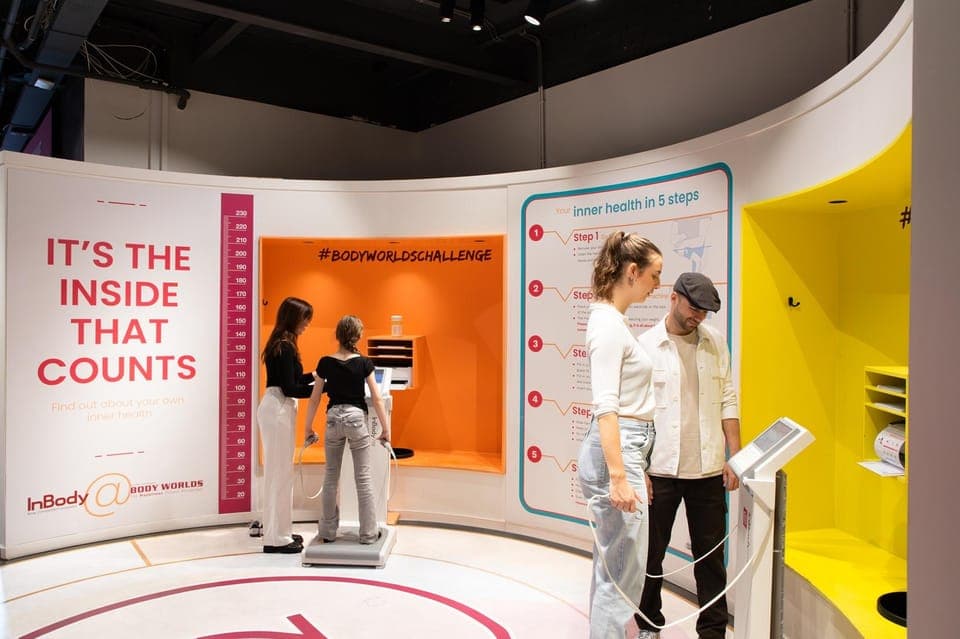 Body Worlds Amsterdam: The Happiness Project Ticket Gallery Image 2