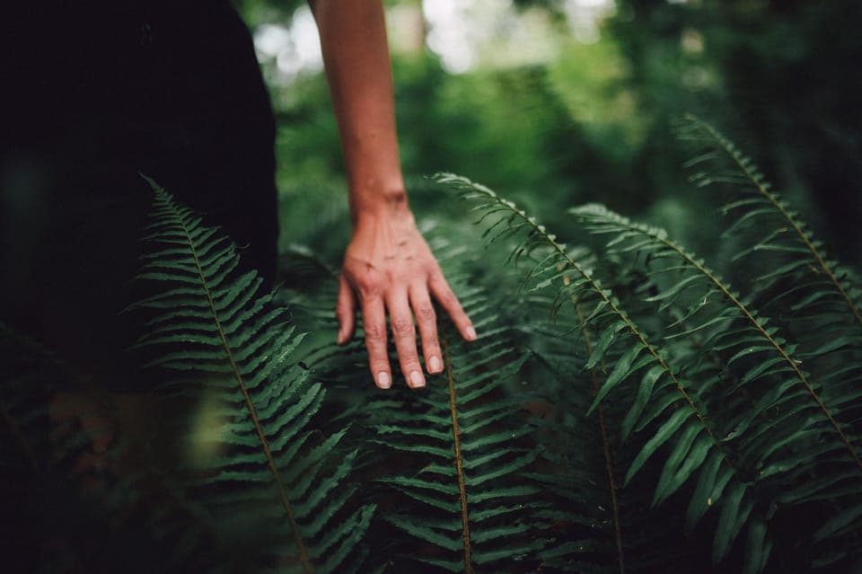 Capilano River Hatchery Love the Land Tour Gallery Image 2
