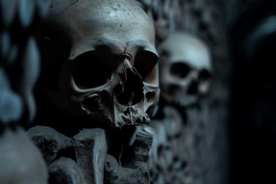 Catacombs, Audio Guide, and River Cruise Option Gallery Image 1