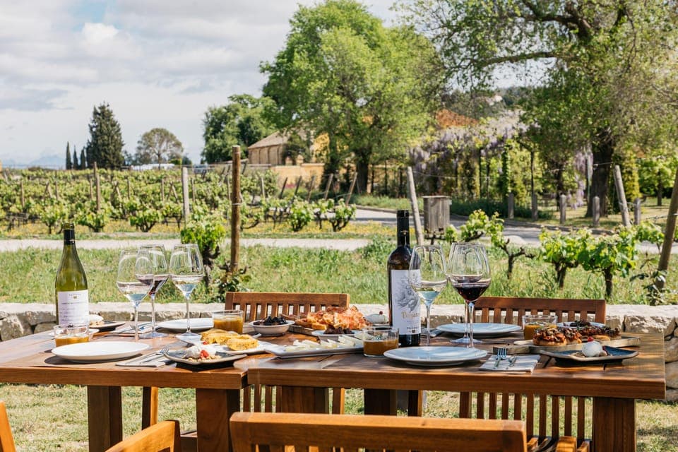 Familia Torres Winery: Gastronomic Tapas & Wine Experience Gallery Image 3