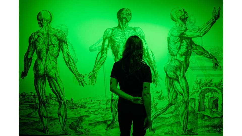 Hopscotch Immersive Art Experience Ticket Gallery Image 2