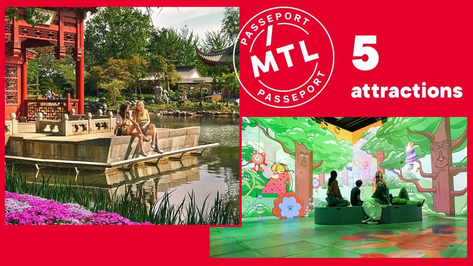 1. 5 Attractions Pass - Image 1