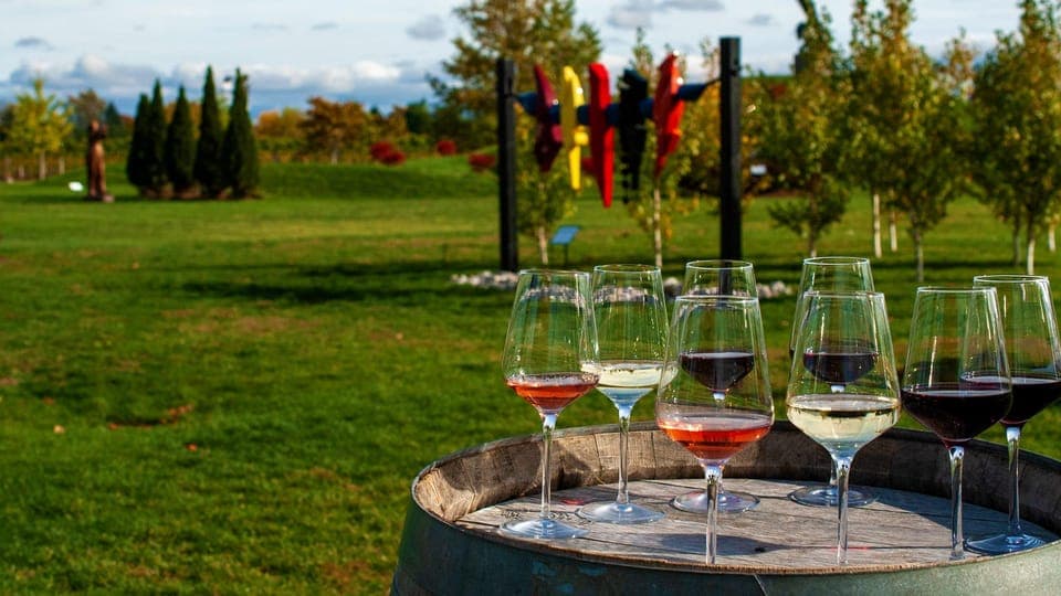 Small Group Tour with Wine Tasting and Cruise Gallery Image 2
