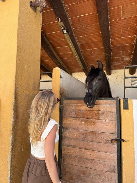 9. Vineyard Horseback Riding & Wine Tasting + Tapas - Image 9