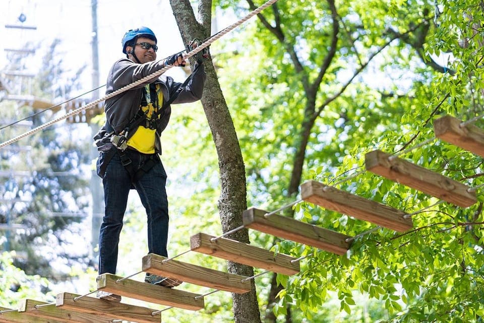 Aerial Adventure Course Park Pass Gallery Image 3
