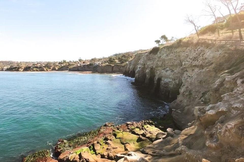 La Jolla Cove Guided Snorkeling Tour Gallery Image 4