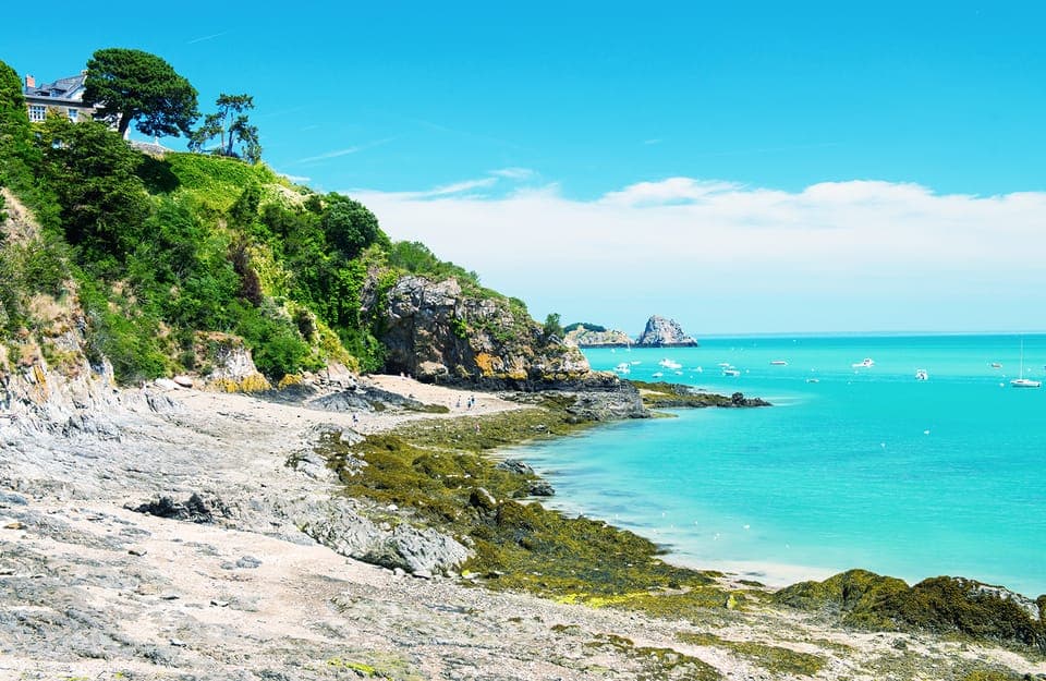 Monterey, Carmel, 17 Mile Dr, Big Sur & Mcway Falls Pvt Tour Gallery Image 3