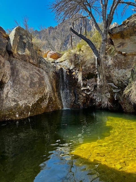 Family Friendly Guided Hike to Emerald Falls Gallery Image 3