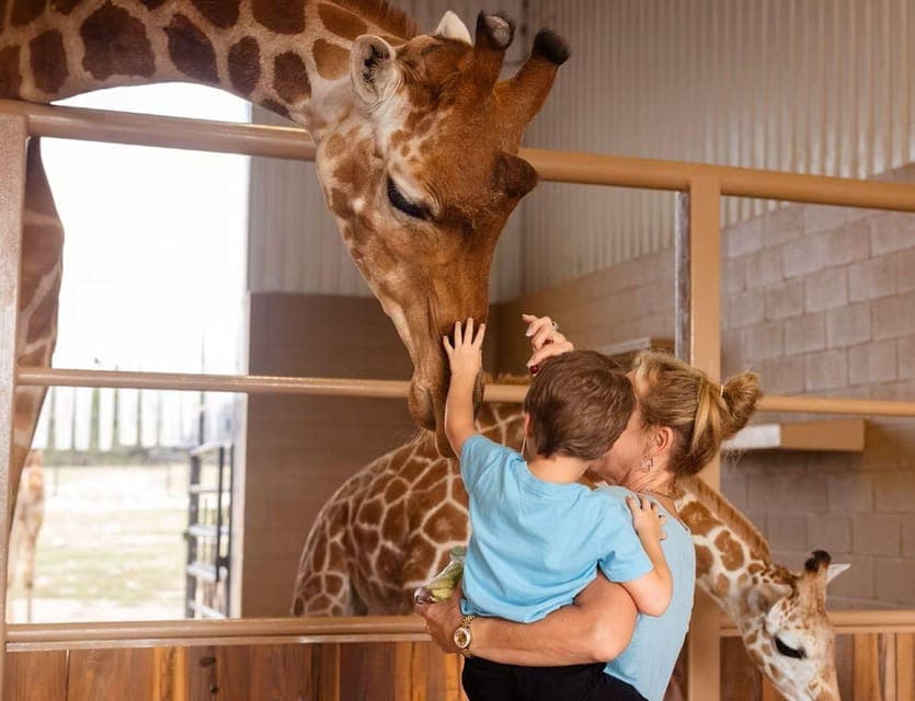 Natural Bridge Wildlife Ranch: Self-Guided Safari Drive-Thru Gallery Image 4