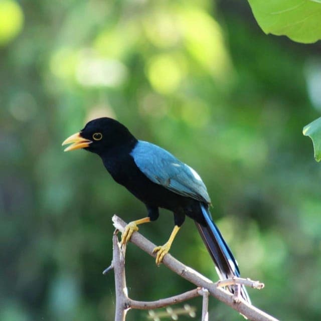 Birds Photography Expedition with Transportation Gallery Image 3