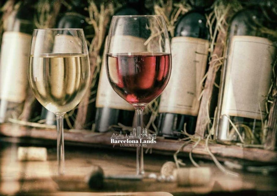 Tour Luxury for Priorat, Wine tasting & Lunch Gallery Image 3