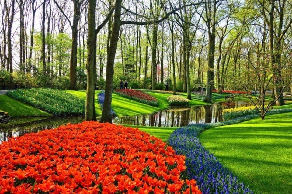 43. Rotterdam: Private Sightseeing Tour to Keukenhof - Image 43