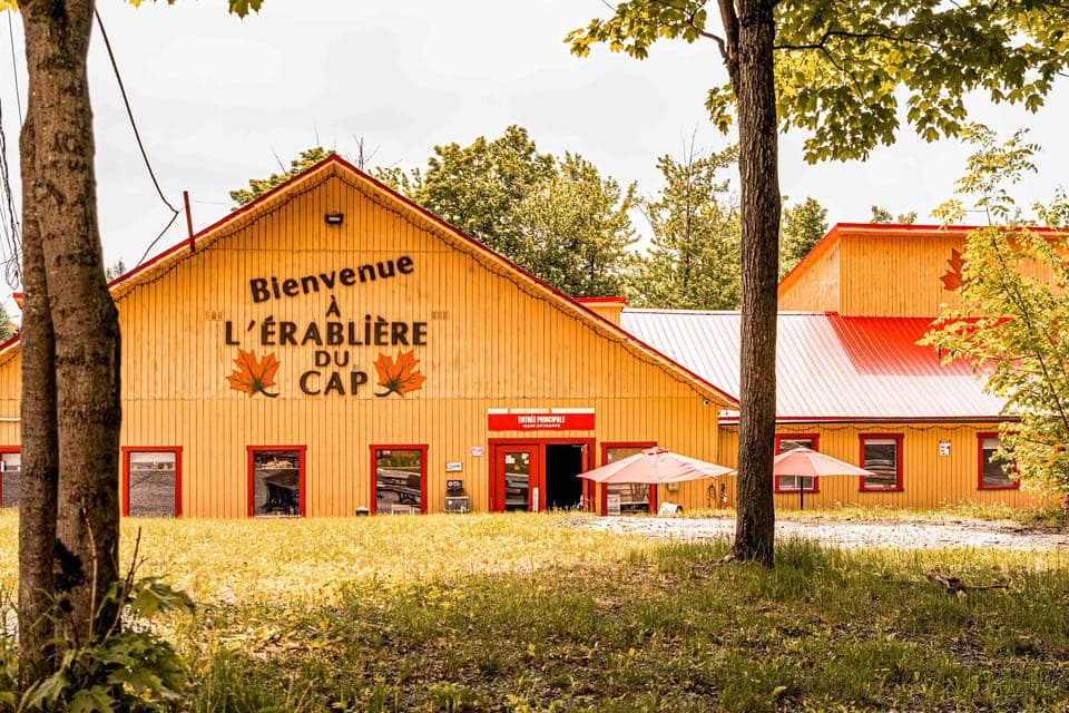 Quebec City (Lévis): self-guided sugar shack tour + meal + maple taffy Gallery Image 3