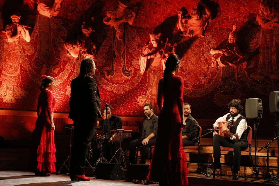 Gran Gala Flamenco Show Entry Ticket Gallery Image 4