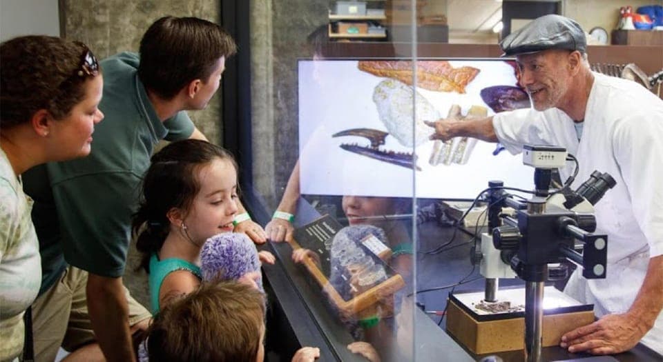 La Brea Tar Pits Museum Ticket Gallery Image 4