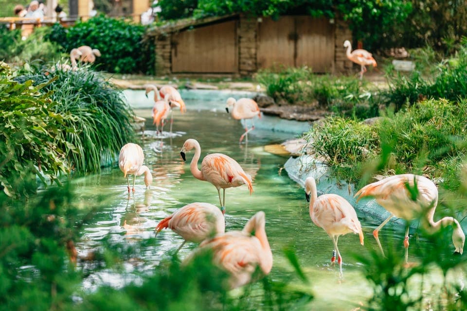 1-Day Ticket to Barcelona Zoo - Image 4