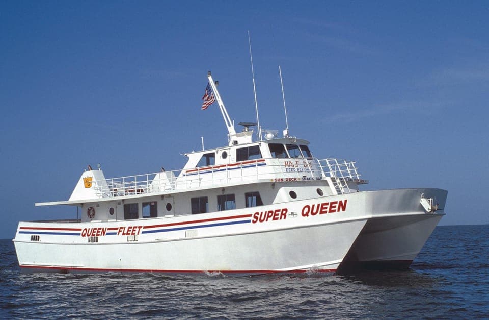 Small Group Clearwater Beach,Dolphin Watch Tour from Orlando Gallery Image 2