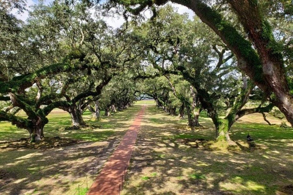 Oak Alley & Laura Plantation Tour w/Transport Gallery Image 3