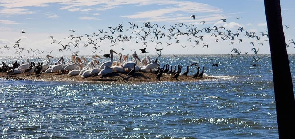 Everglades Tour w/90 minute boat trip & 3 Hikes! Gallery Image 3