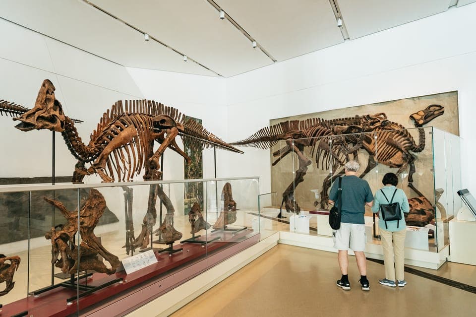Royal Ontario Museum Admission Ticket Gallery Image 4