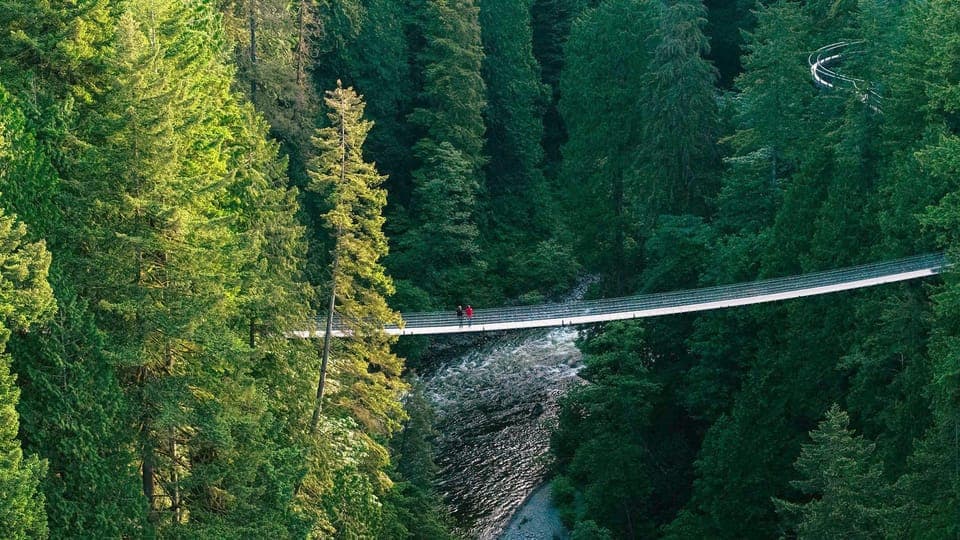 Capilano Suspension Bridge Park Ticket Gallery Image 2