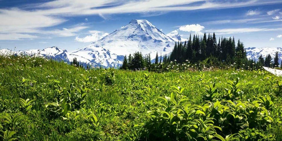 From Seattle - Enchanting Mt Baker & Cascade mountains tours Gallery Image 2