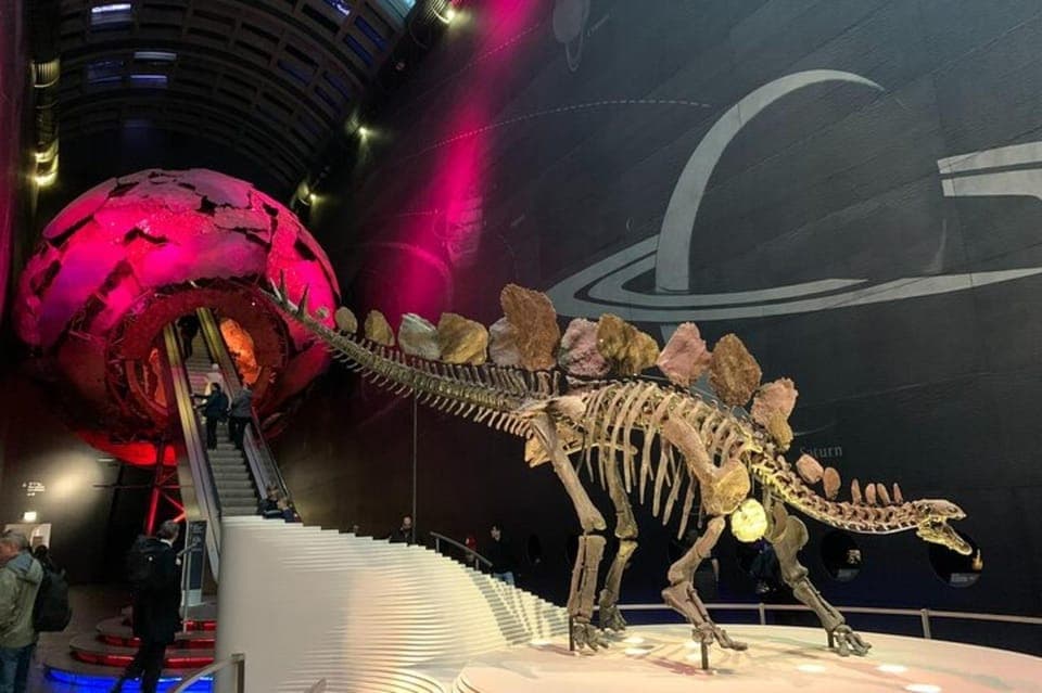 Natural History Museum Private Tour & Skip the line - Image 6