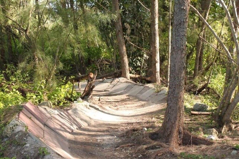 Mountain Bike Rental on Virginia Key Trails Gallery Image 3