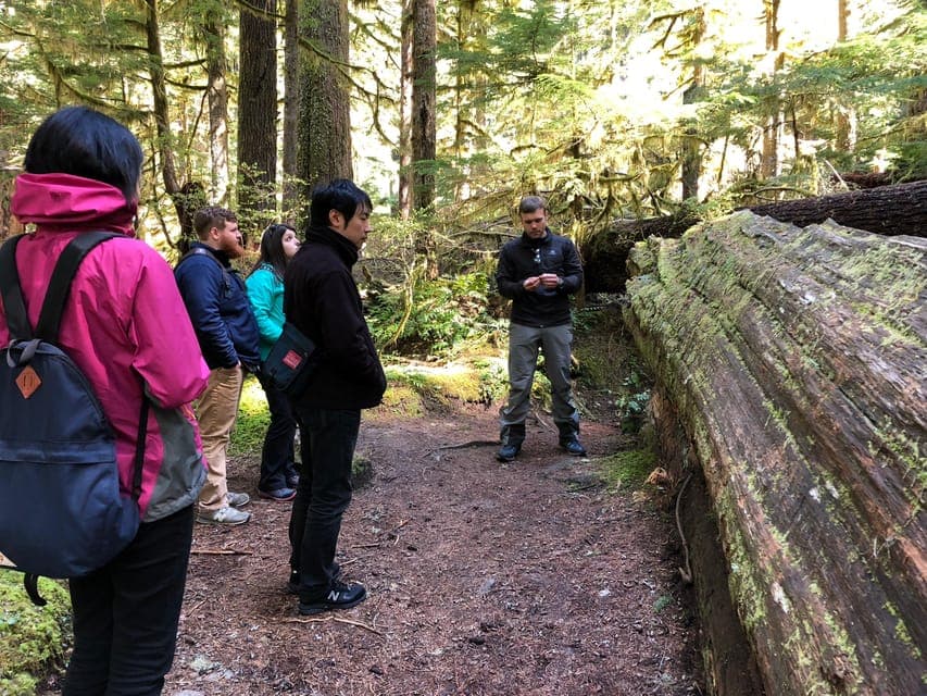 Longmire in Mount Rainier Winter Day Tour Gallery Image 2