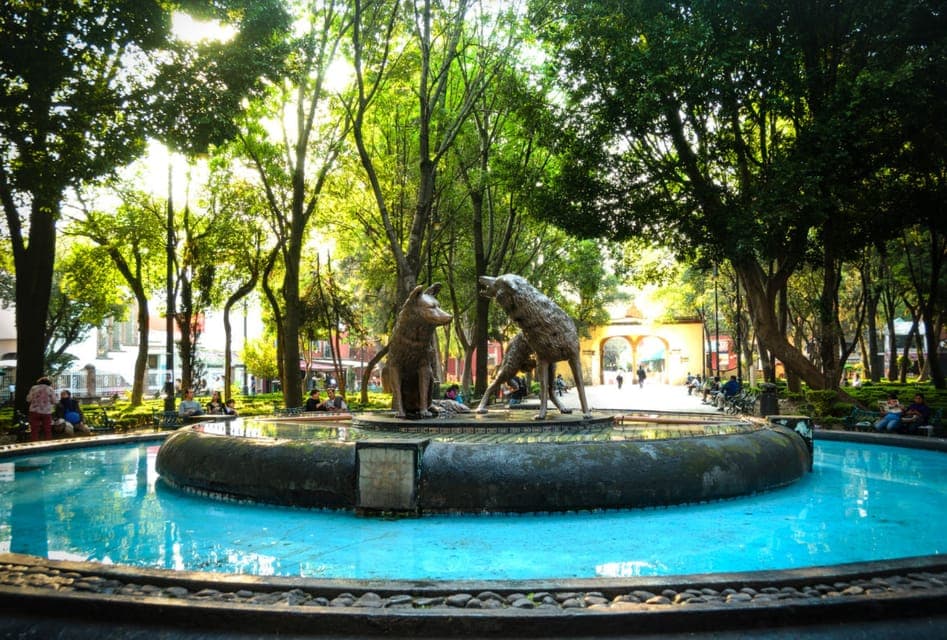 Coyoacán & Xochimilco: Discover an oasis in Mexico City Gallery Image 4