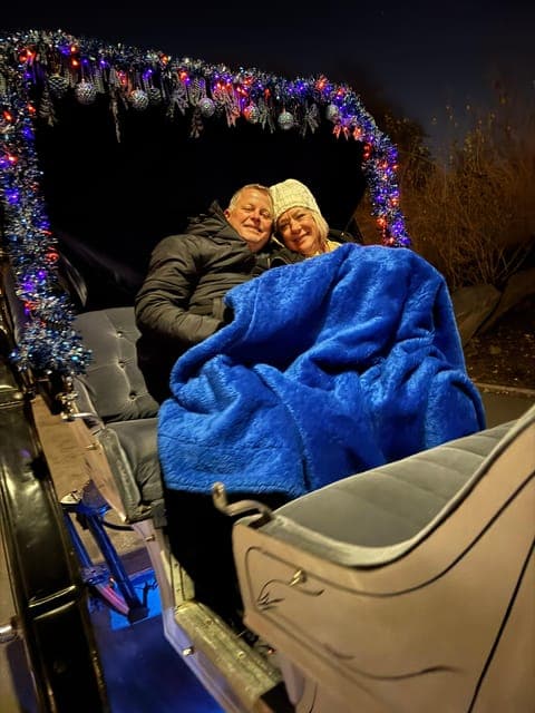 Central Park Christmas Lights Horse-Drawn Carriage Ride Gallery Image 3