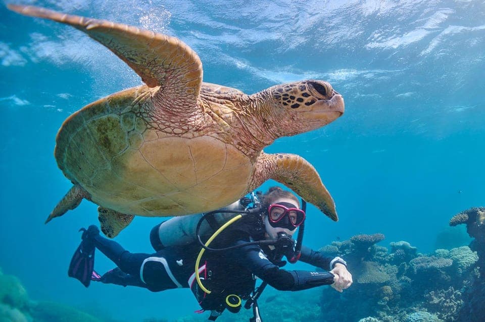 Miami Beach: Guided 2-Tank Reef and Wreck Dive Trip Gallery Image 3