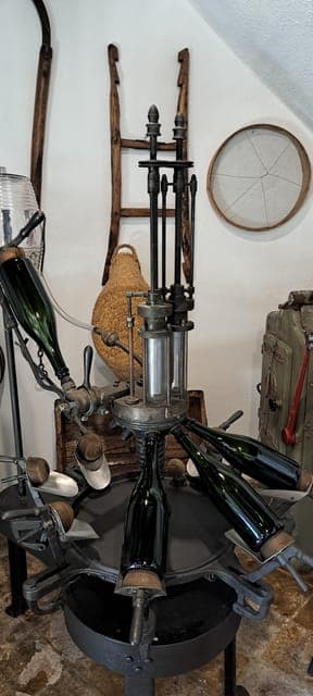 Penedès Vineyard Horseback Ride with Wine Tasting Gallery Image 2