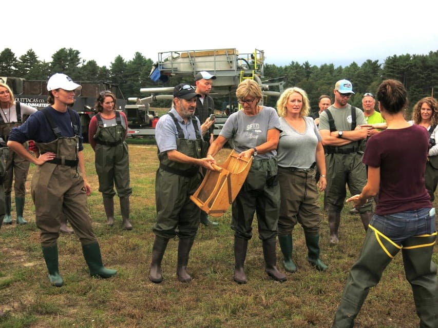 Become A Cranberry Bogger for a Day Experience Gallery Image 4