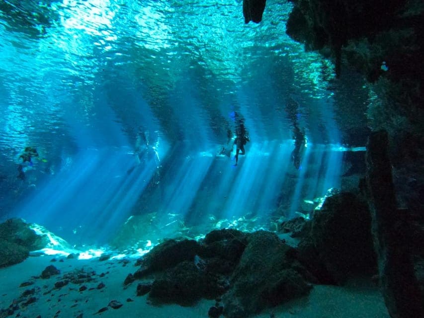 From Cancun: 2 Dives in Cenote Dos Ojos for Certified Divers Gallery Image 3