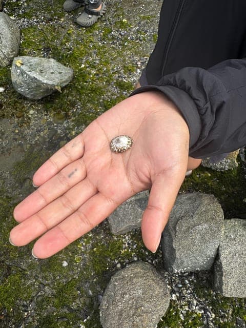 Stanley Park Salish Sea & Me Gallery Image 2