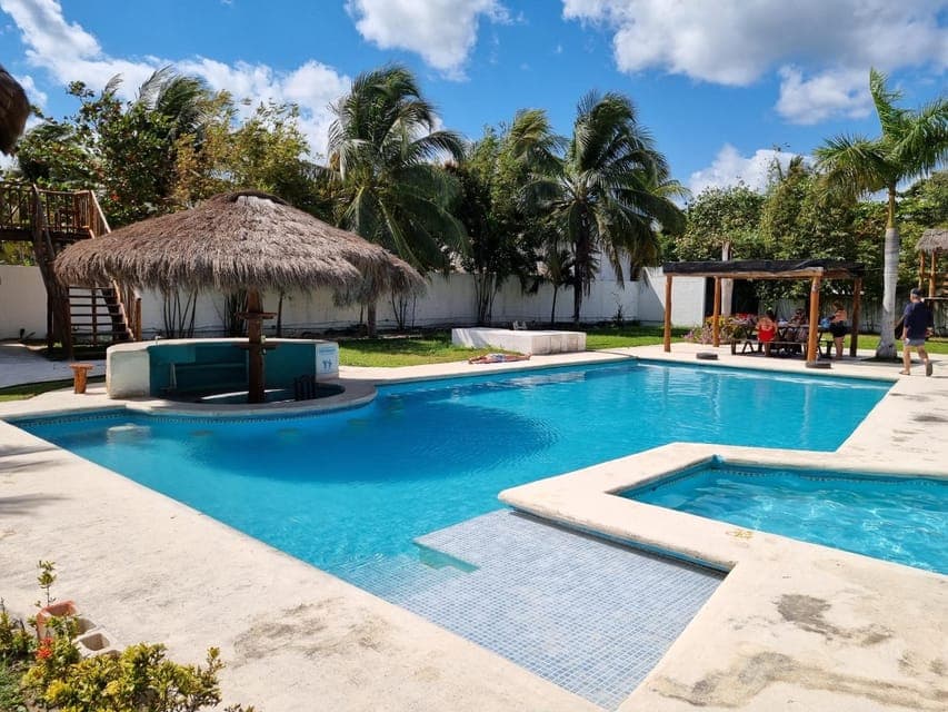 Cancun: Scuba Diving in Puerto Morelos for Beginners 2 Dives Gallery Image 3