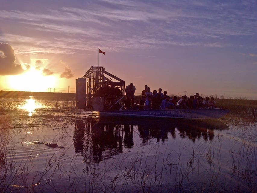 From Miami: Everglades at Night with Guided Airboat Tour Gallery Image 1