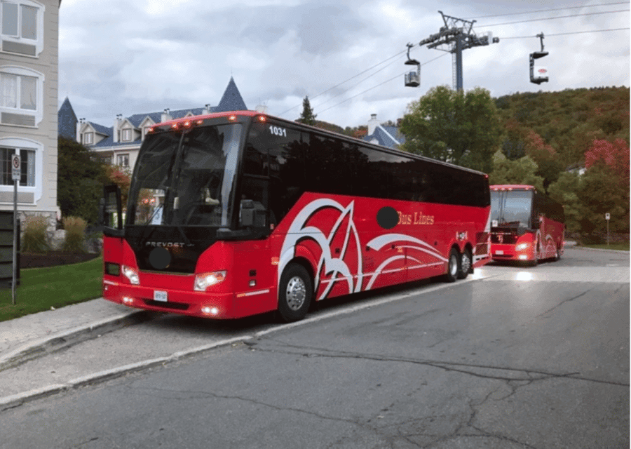 Toronto and Niagara Falls: Full-Day City and Nature Tour Gallery Image 3