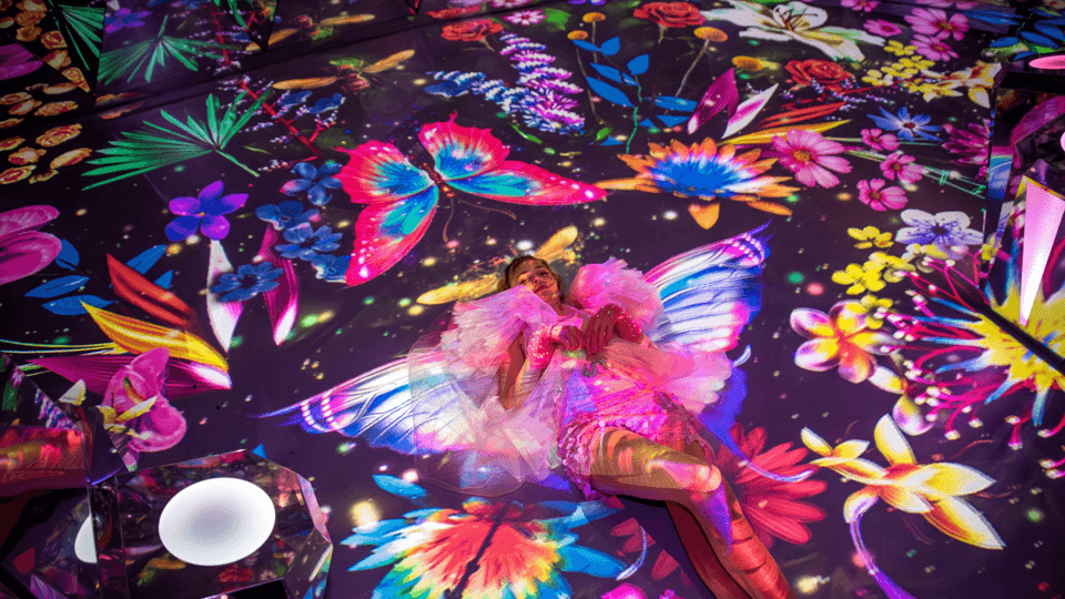 WONDR Immersive Playground Experience Ticket Gallery Image 4