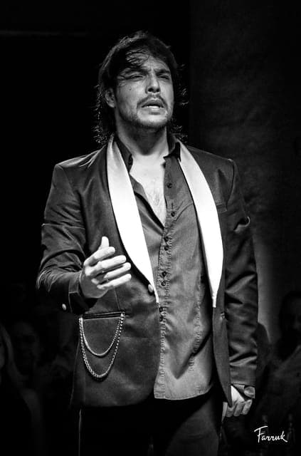 CDMX: Live Flamenco Show and Dinner Gallery Image 2