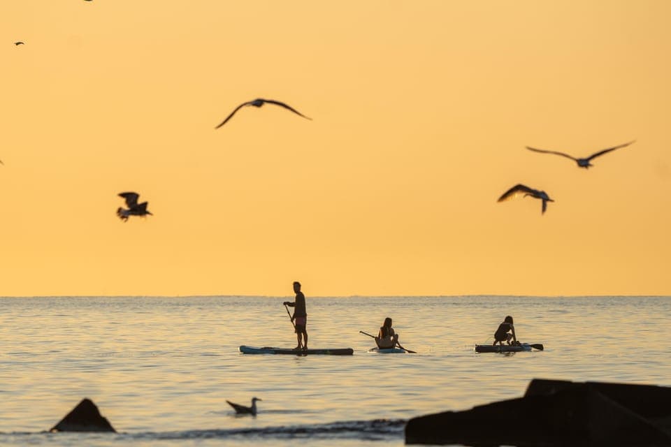 Paddlesurf Rental Barceloneta beach (75min) Gallery Image 3