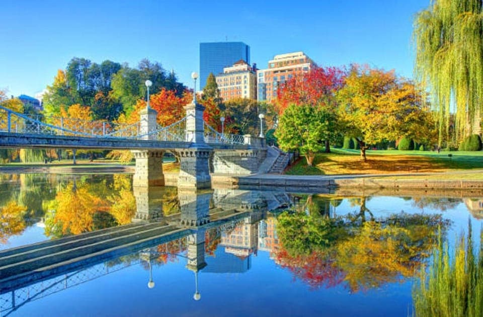 From Boston:Public Garden,Beacon Hill&More Half Day tour Gallery Image 2