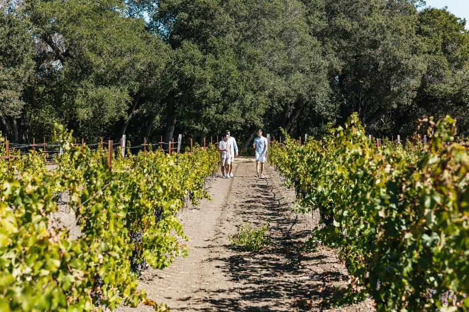 19. Half-Day Wine Country Excursion with Tastings - Image 19