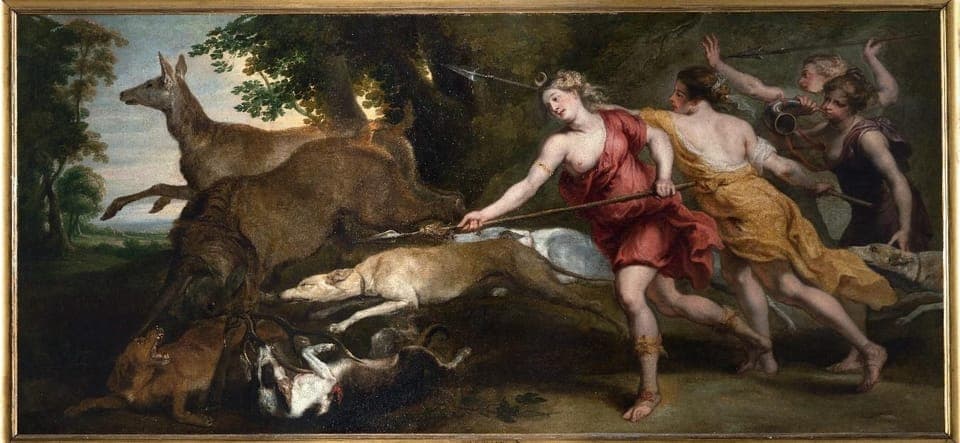 Royal Ontario Museum Special Exhibits Voucher Gallery Image 3