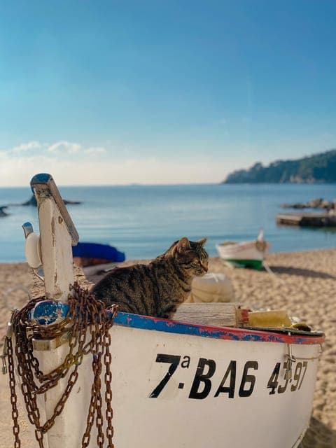 Day Trip to France with Girona Visit from Barcelona Gallery Image 4