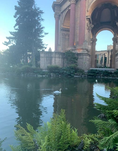 Billionaire's Row & Palace of Fine Arts Tour Gallery Image 4